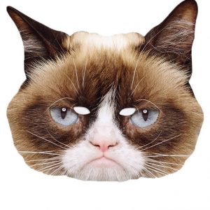 Pahvinaamari Grumpy Cat